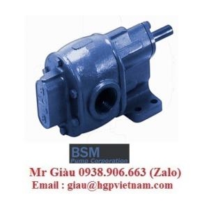 BSM Pump Việt Nam